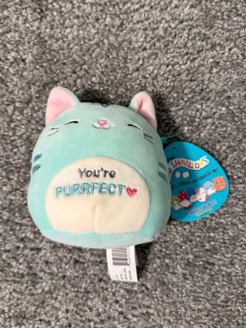 Valentine's Squishmallow- Jules the Cat "You're Perfect"